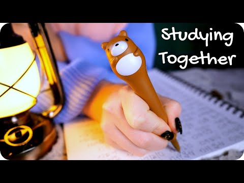 ASMR Fireside Studying 🔥✍️ (Inaudible Whisper, Pen Writing, Fire Crackle, Tapping, Cozy) 1 Hour