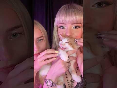 Berlin Touched my Kitty #ASMR