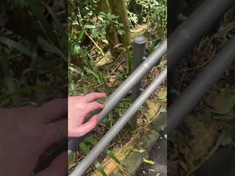 Asmr sons de natureza e camera tapping #asmr #relax #tingles #satisfyingtingles