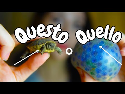 QUESTO O QUELLO? Scegli Quello Che Ti Rilassa Di Più 💙 [4K ASMR]