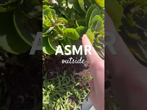 lofi tapping & scratching things outside 🍃 #asmr