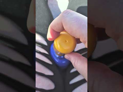 ASMR lid sounds on the beach #asmr #triggersforsleep #visualtingle #satisfying