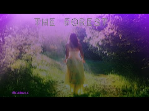 The Forest ★ An original Fairytale ★ with [ASMR] sounds