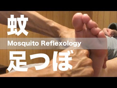 蚊がでた足つぼ | Mosquito Reflexology
