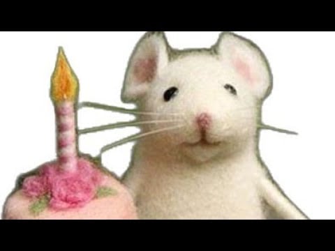 asmr turning 21!!