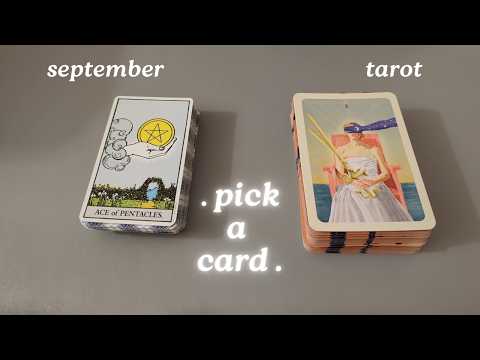 asmr tarot🌿sept pick a card timeless tarot reading, no talking asmr captions only