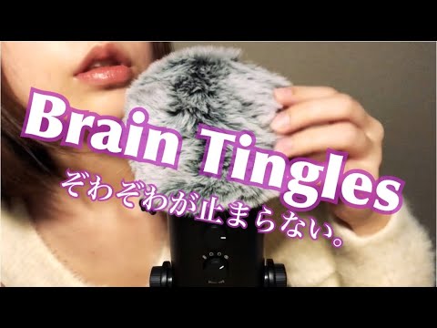 【ASMR】Fluffy mic touching / SkSk /ふわふわマイクとSkSk