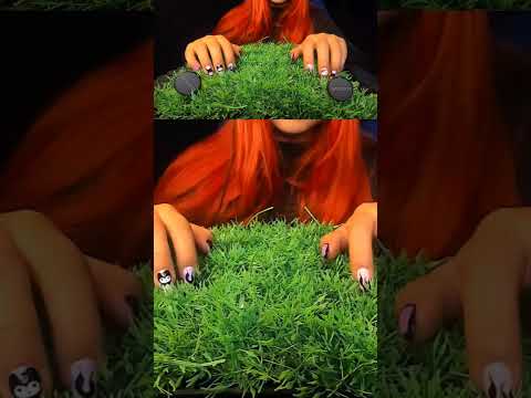 This Sound Is So Satisfying… 😍 | ASMRScratching (No Talking) #tingles #shorts #asmr