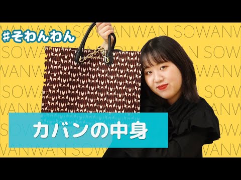 【そわんわん】バッグの中身