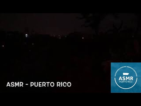 ASMR Nature Sounds No Talking | Rain at Night Sounds, Coqui Sounds. Puerto Rico Relax at Night.