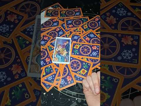 Расклад Таро на одну карту для всех. 😊💖