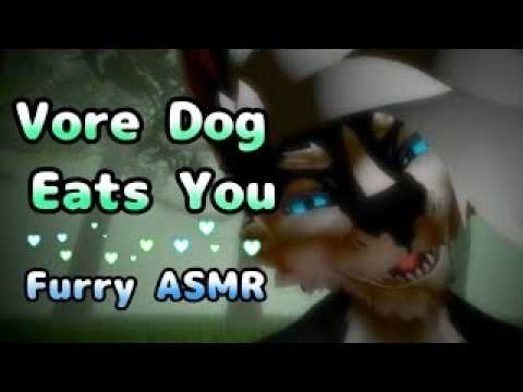 [Furry ASMR] Vore Dog Eats You