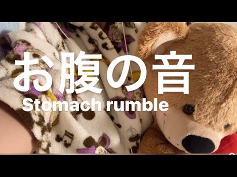 ASMR お腹の音【リクエスト動画 request movie 】