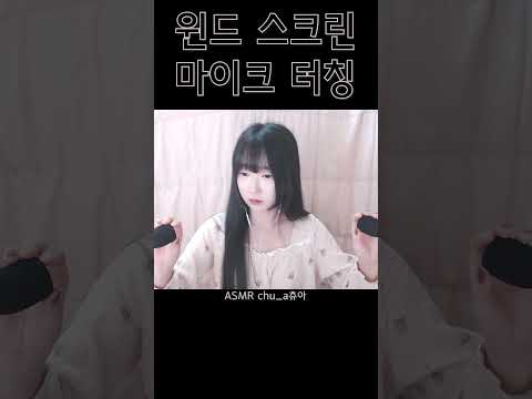 윈드스크린 ASMR #shortvideo