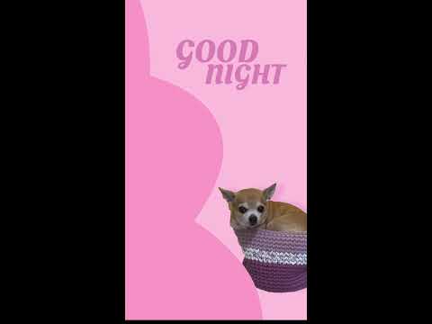 LIVE ASMR #asmr #fyp #relaxing 