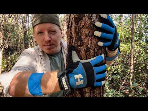 ASMR | Giving The Trees A Massage