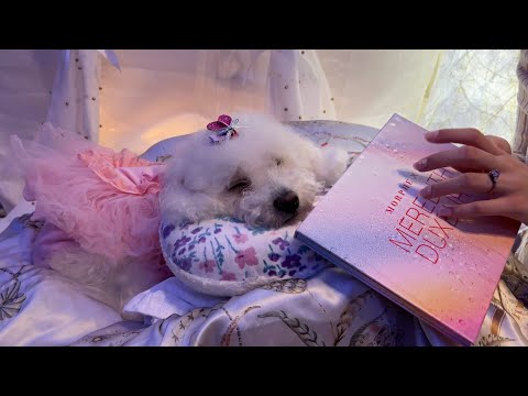Asmr ♡ Girl's night out ♡ (inaudible whispers)