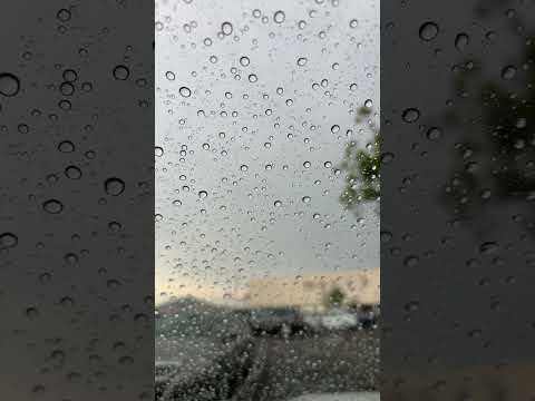 Nothing like the sweet sound of summer rain 🌧️😌 #asmr #rainsounds #asmrrain #rainoncar
