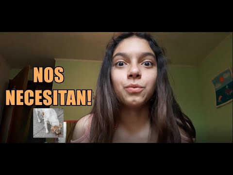 ESTO TIENE QUE PARAR!, ACOMPÁÑAME A HACER UNA BUENA ACCIÓN!!!| SOFIWI