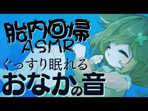 【胎内回帰】赤ちゃんの気持ち。ぐっすり眠れるおなかの音【新マイク挿入ASMR】belly sound,heart beat