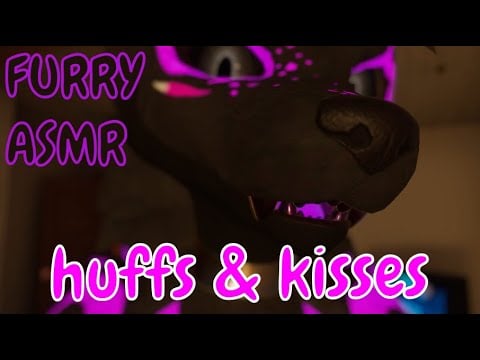 [FURRY ASMR] Kissing your ears! (No Talking)