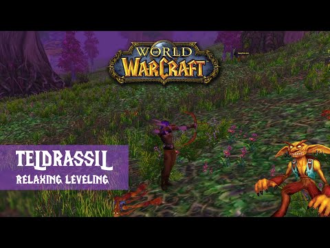 Classic WoW Nostalgic Leveling Journey ~ No Talking ASMR ~ Night Elf Zones Part #1