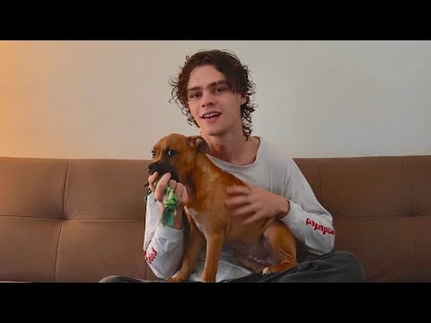 ASMR with My New Puppy | Soft Speaking & Puppy Sounds