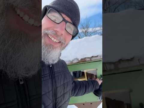 Free little library checkup!