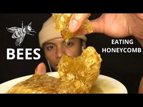 ASMR I Tried to Eat Raw Honeycomb | Would you eat this?