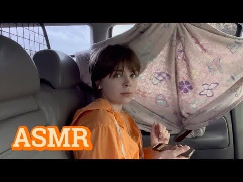 ASMR Big Sis Sits Next to You on The Family Road Trip (Soft Spoken Roleplay With Phone Tapping)