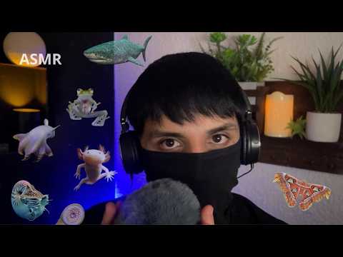ASMR leyendo Datos Curiosos de Animales Sorpendentes