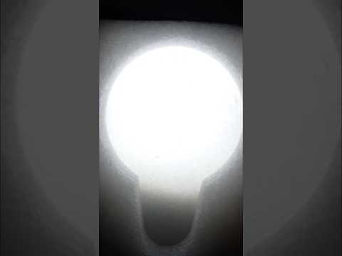 ASMR 🪰 Guiding the Moth People into the Brightest Light