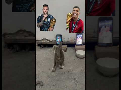 **Lionel Messi vs Cristiano Ronaldo: Who Will Lift the Trophy First? 🏆**