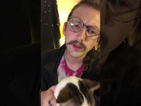 ASMR Testing You for Felines Roleplay (Shorts Version)