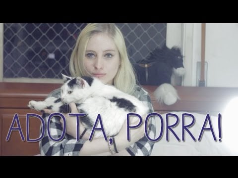 Crânio de um Pug e nosso querido amigo Darwin