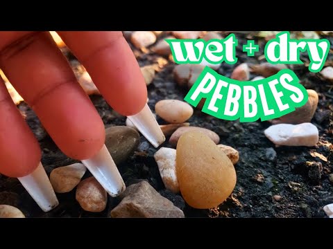 Wet and Dry Pebbles , Somewhat Fast Scratching, Camera Tapping with Long Nails , Outdoor Nature ASMR