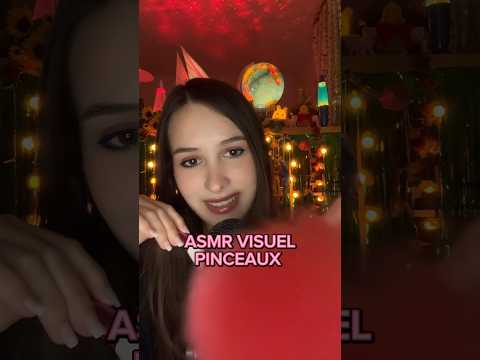 Je t’enlève toute la poussière sur ta tronche 🧹✨ #asmrvideo #asmrbrushing #visualasmr #tinglesounds