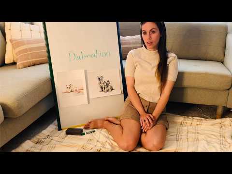 [ASMR] Miss Bell Teaches A Lesson On Dalmatians  - Relaxing
