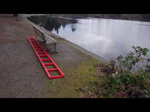 VLOG in Stanley park - lost lagoon