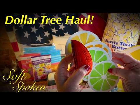 ASMR Dollar Tree Haul! (Soft Spoken Version) Unique Items to Discover!