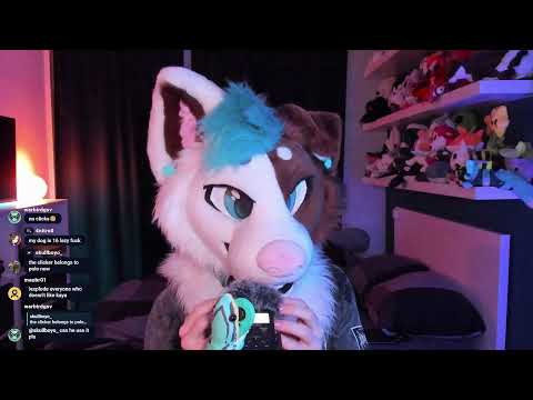 Slightly drunk dog does ASMR