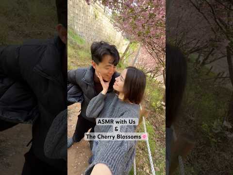 ASMR with the Cherry Blossoms🌸& my Flower🌼 #asmr #cherryblossom #korea #outdoorsasmr