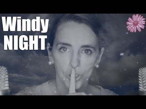 Windy Night Outside 🌃 ASMR  💨|No Talking