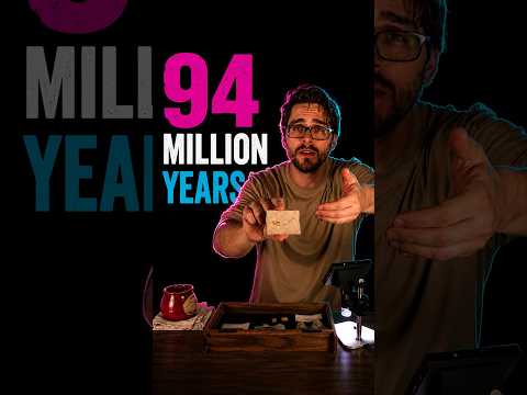 This Fossil Is 94,000,000 Years Old... 🦴 #ASMR