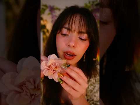 Cozy friend pampers you to sleep 😴 🌼 🌷 #asmr