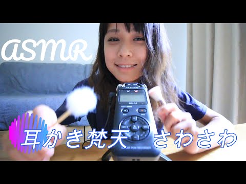 【ASMR】耳かきの梵天でさわさわしてみました