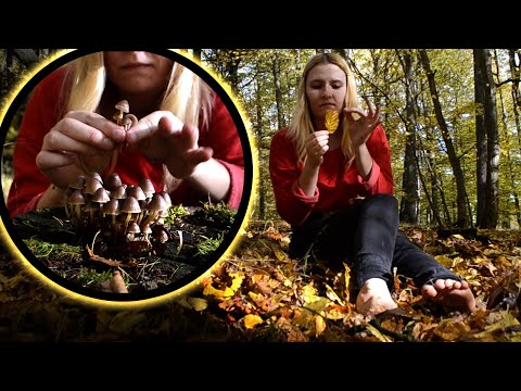 Nature ASMR - 🍄 Barefoot mushroom picking in Halloween woods 🍄