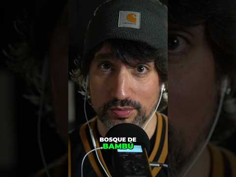 NUNCA ESCUCHASTE UN SONIDO ASÍ