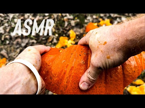 ASMR | Massaging A Pumpkin To Death