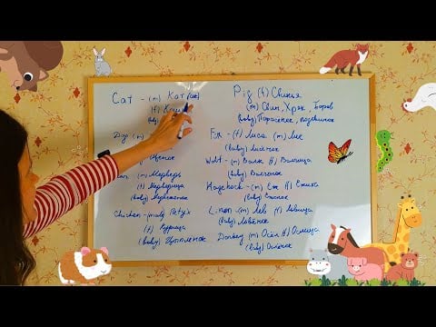 ASMR How to name different animals in Russian (sofl voice, Russain accent)